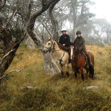 Australia-NSW-Kosciuzsko Park Getaway